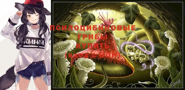 мескалин Инта